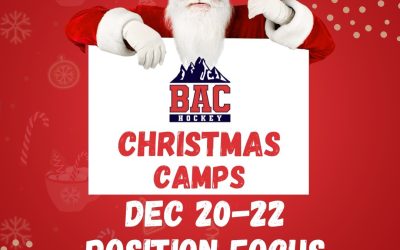 Position Focus – Christmas Camps